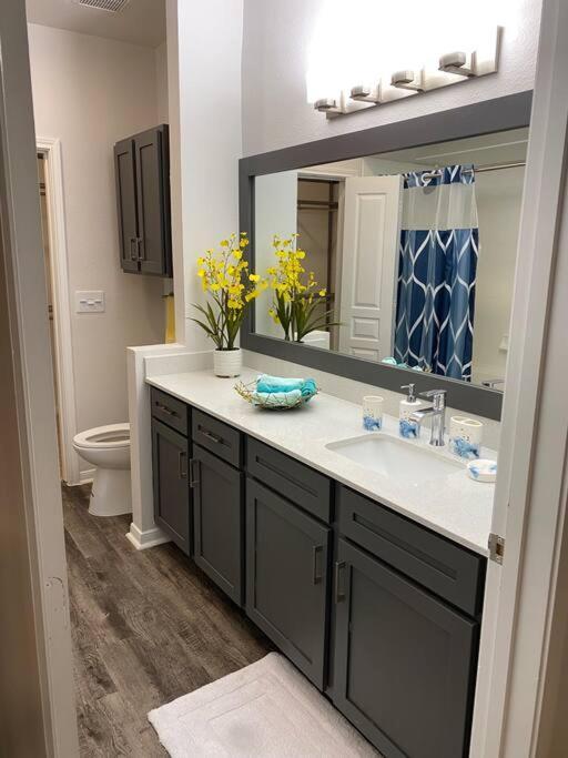 Your Warm Spacious Unit With Pool - Medical Center Houston Extérieur photo